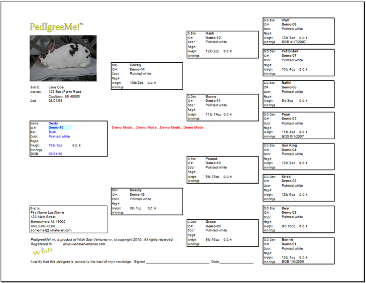 PedigreeMe! Rabbit Pedigree Software Features Easy and Fast Rabbit